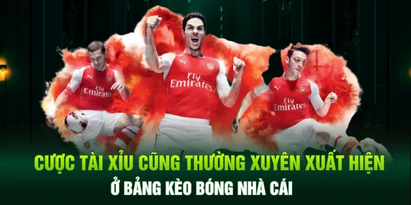 Cược tài xỉu cũng thường xuyên xuất hiện ở bảng kèo bóng nhà cái
