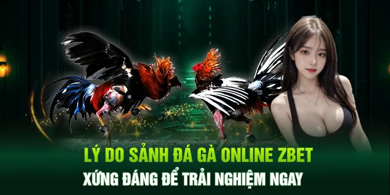 Lý do sảnh đá gà online ZBET xứng đáng để trải nghiệm ngay