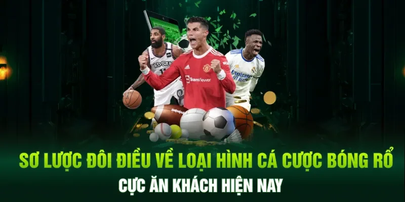 Sơ lược về cá cược bóng rổ - loại hình cá cược cực ăn khách